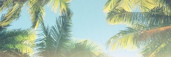 bree banner