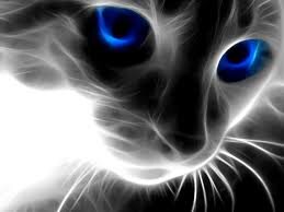 _warary's profile banner image