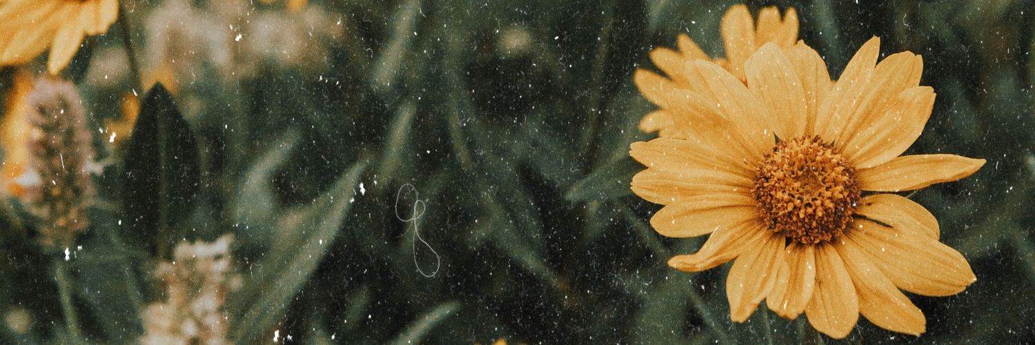 fatiimalopez98's profile banner image