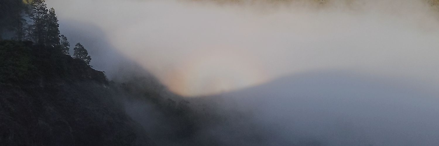 nesarts's profile banner image