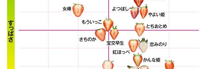 sasurai95's profile banner image