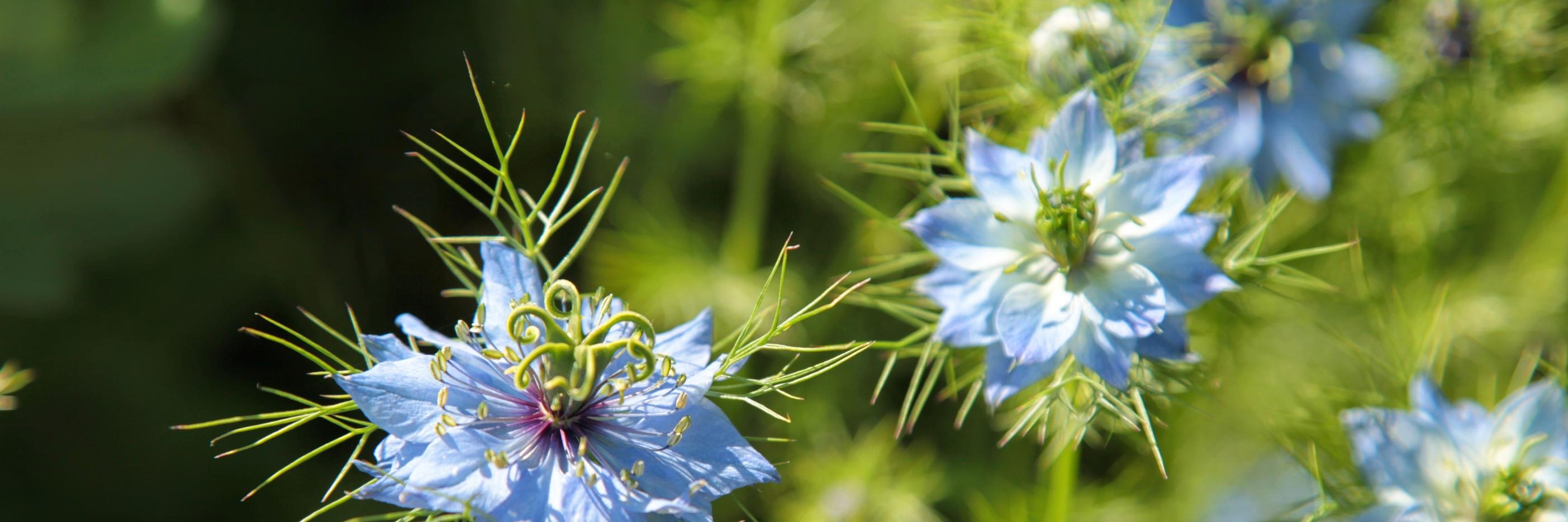 mariole82's profile banner image