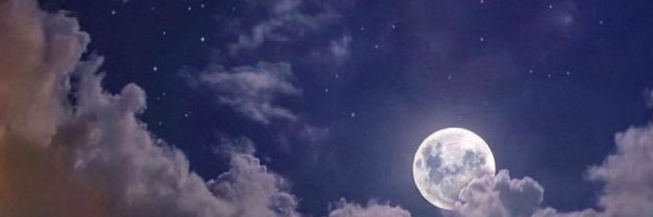 ShathaAlsadii's profile banner image