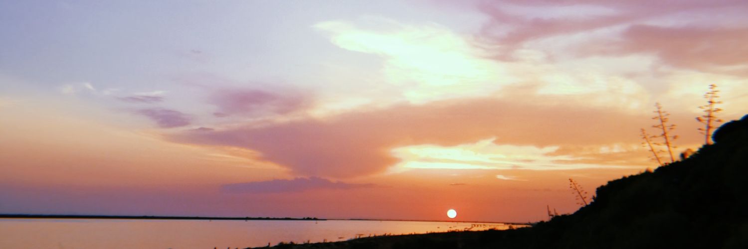 aliglesiass's profile banner image