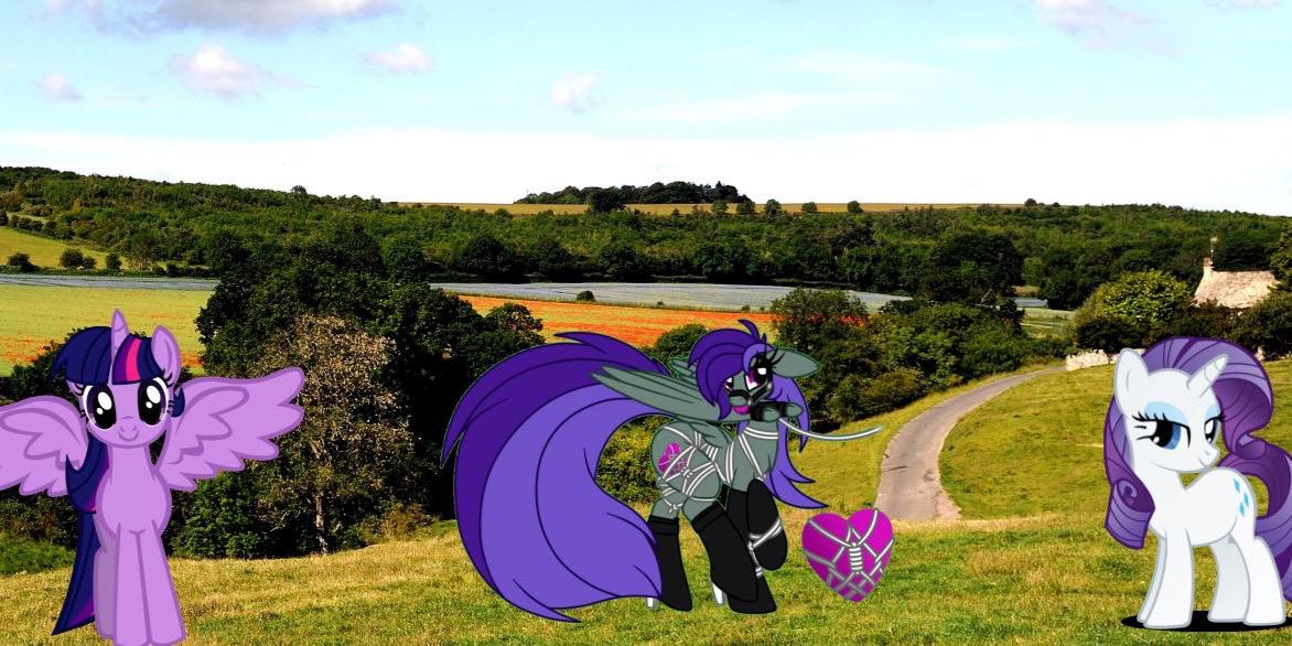 KIS_Kate's profile banner image
