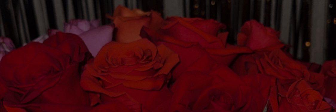 _twerknessa's profile banner image