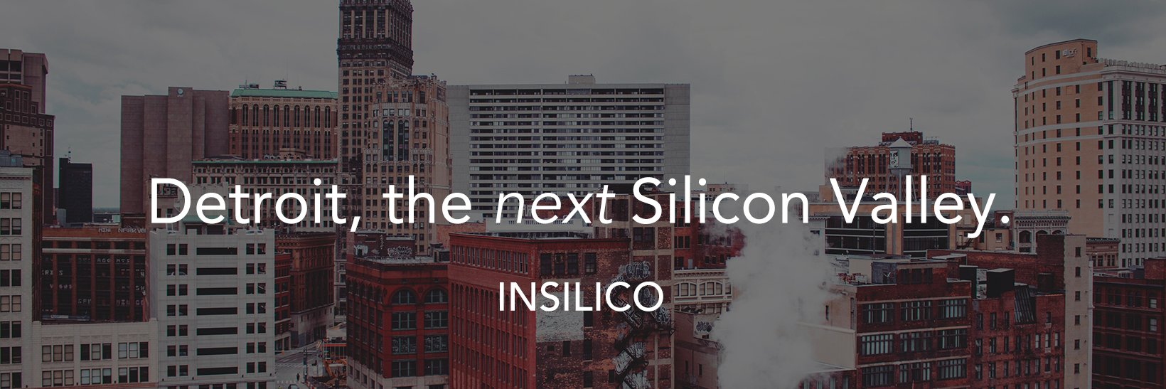 MadeInSilico's profile banner image