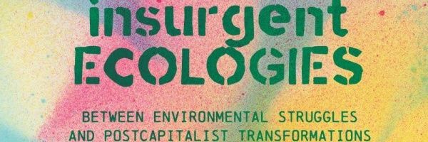 diegoandreucci's profile banner image