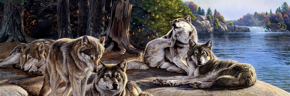 hoppi69's profile banner image