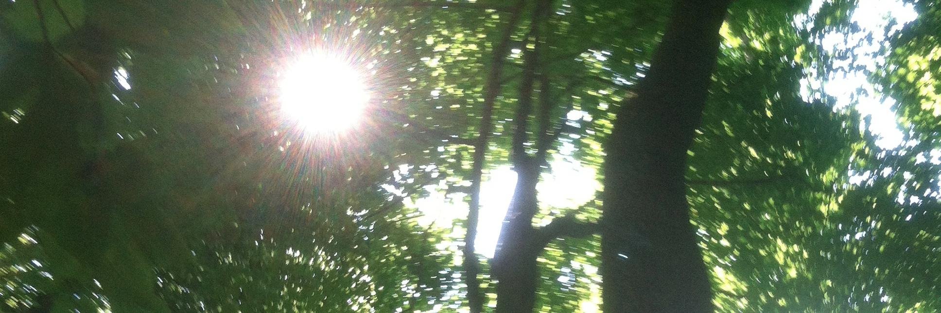 AlexanderYoga's profile banner image