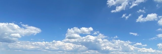 Penny Gralewski banner