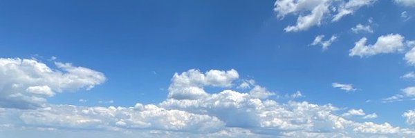 virtualpenny Profile Banner