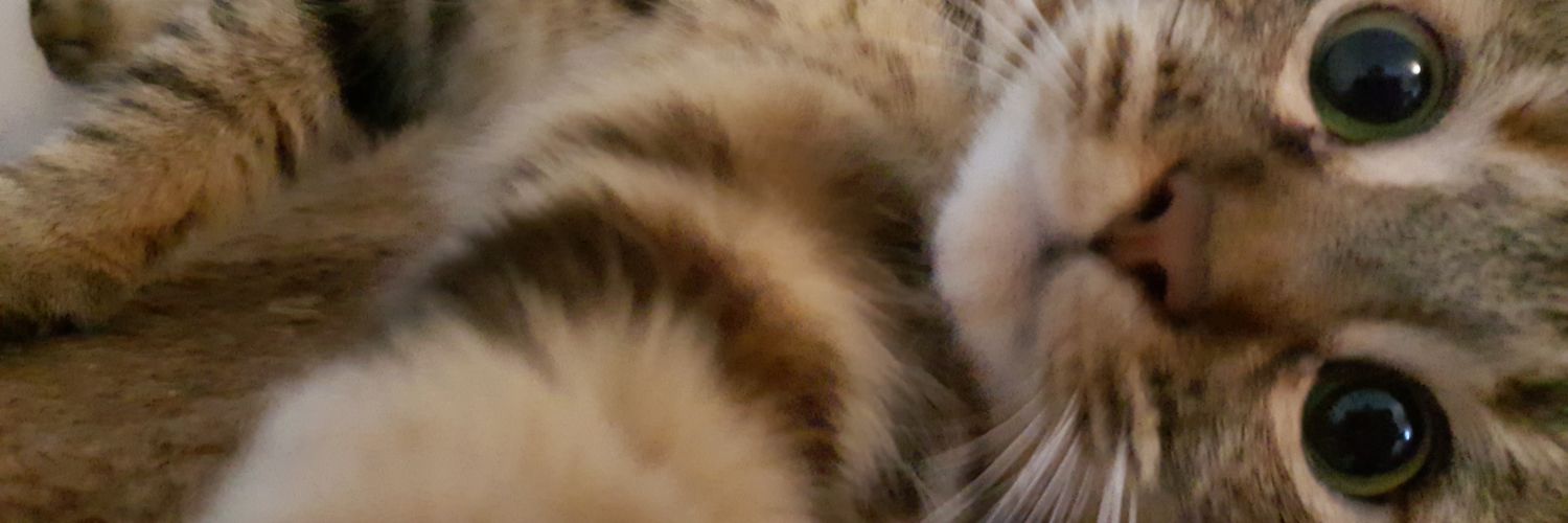 JCat2021's profile banner image