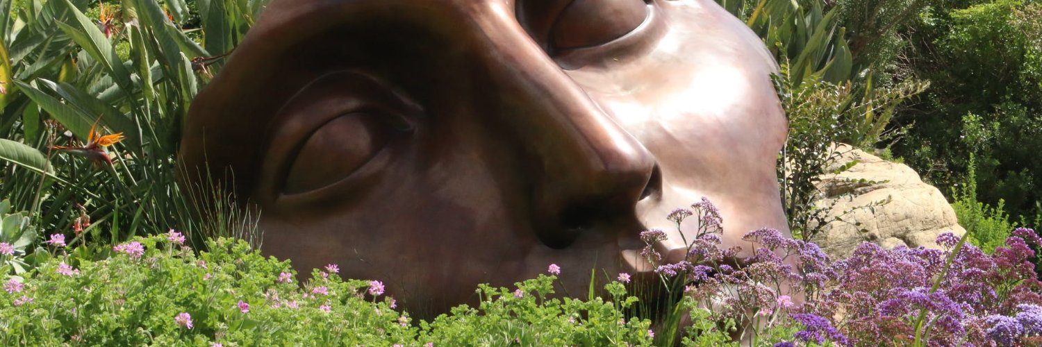 Sophie Cohendet banner