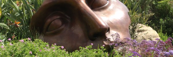 SoCohendet Profile Banner