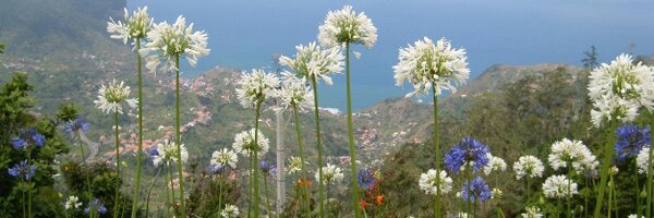 jenwens Profile Banner