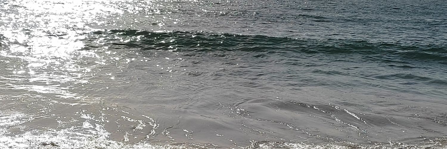 Bilal I Gilani banner