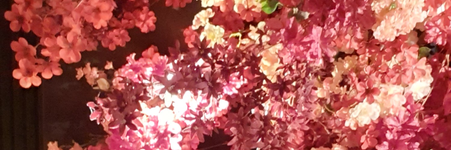 sonamm94's profile banner image