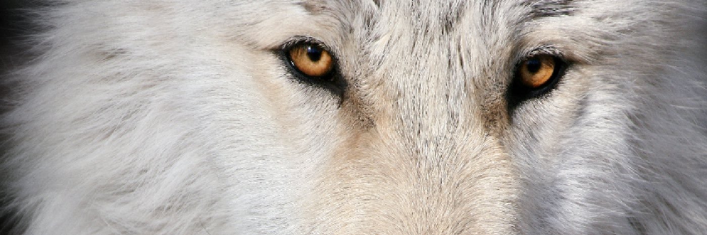 cade022's profile banner image
