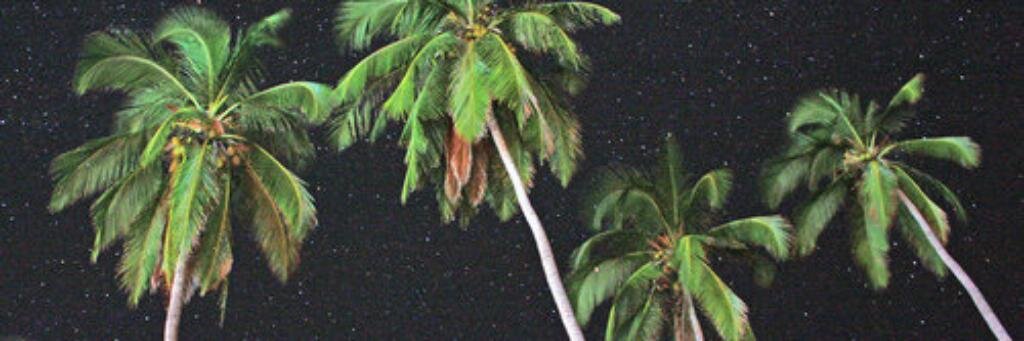pedro gil banner
