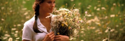 KateHask's profile banner image