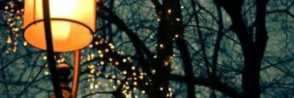caynan__'s profile banner image