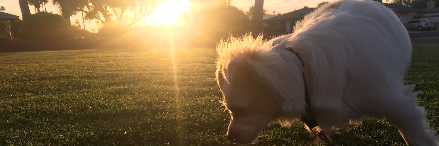 EmilyRadawec's profile banner image