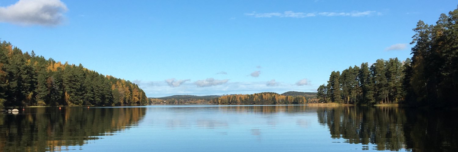 Elin Borg banner