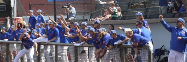 MSC_Baseball Profile Banner