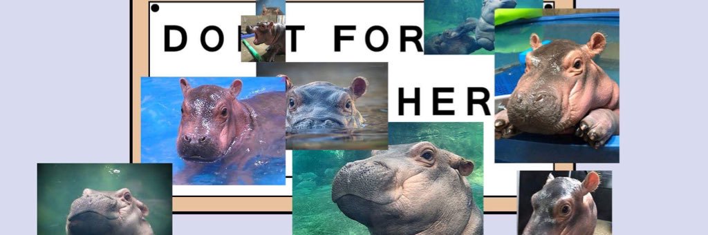 HeyImChristin's profile banner image