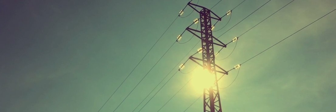 Esther Zecco banner