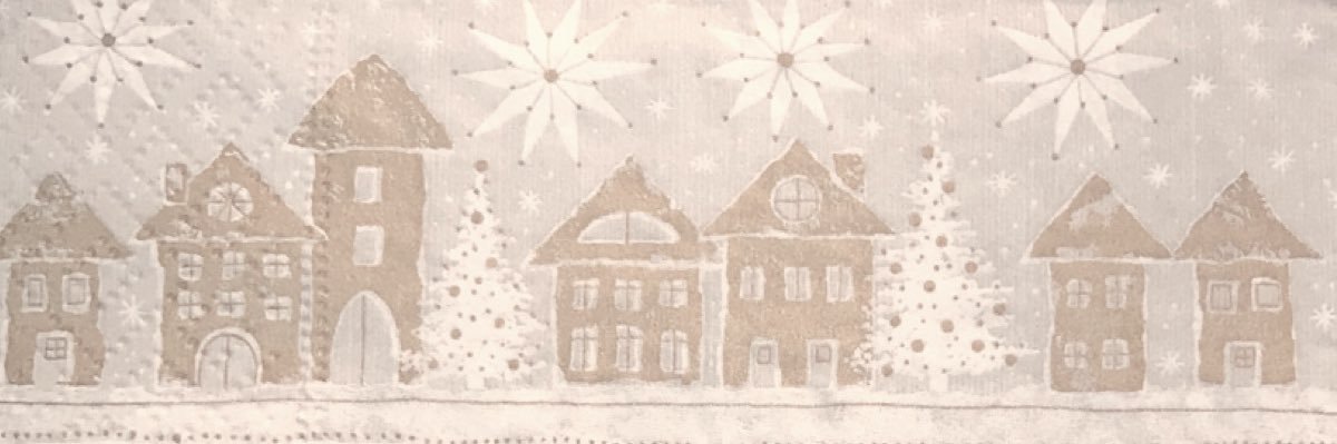 camiroi's profile banner image