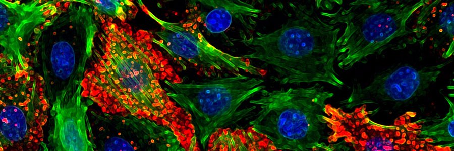 kg_science's profile banner image