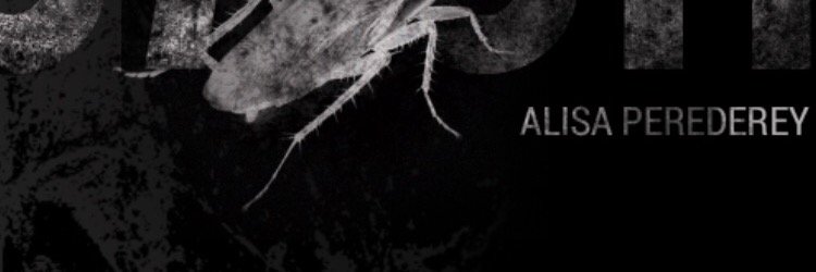 AlisaPerederey's profile banner image