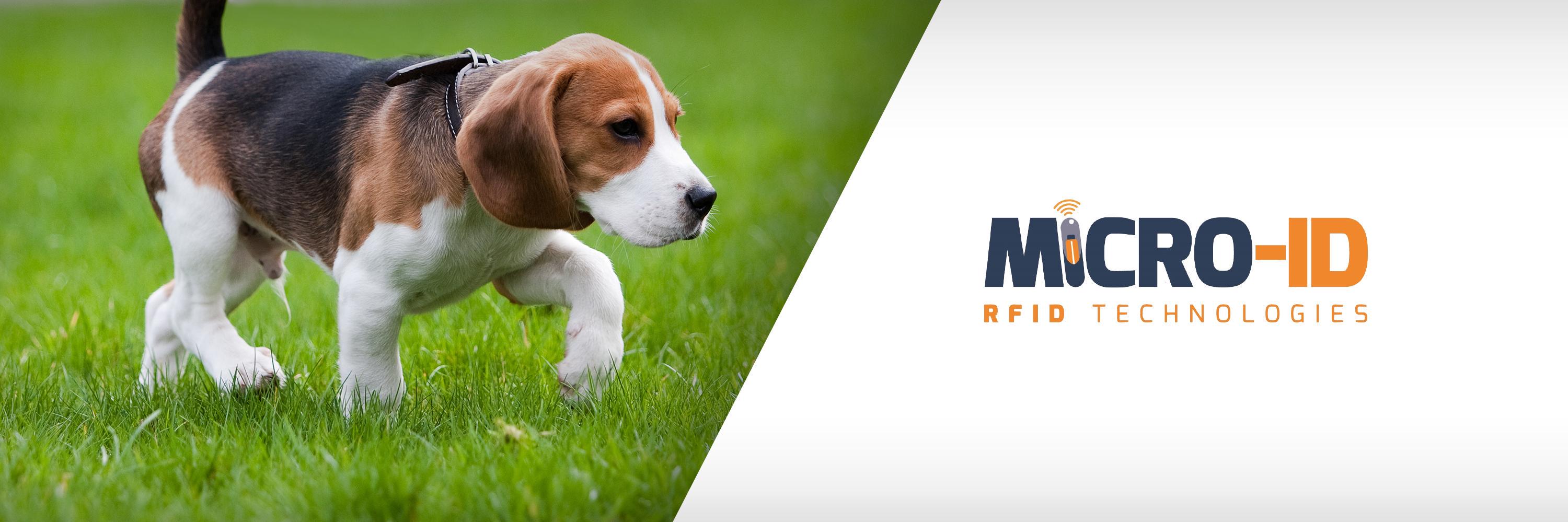 Micro-ID Ltd (@Micro_ID) / Posts / X