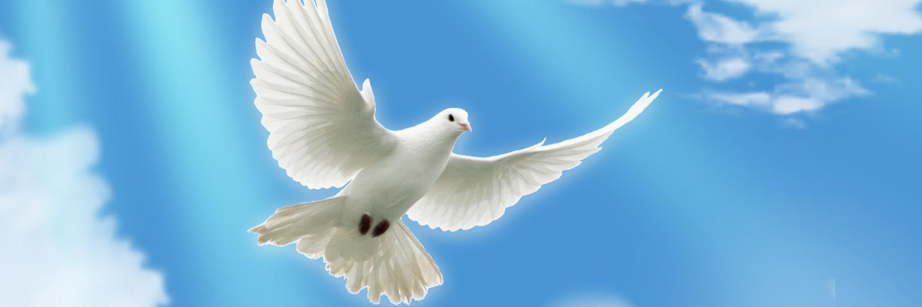aneedforlove's profile banner image