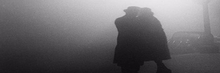 peahuller's profile banner image