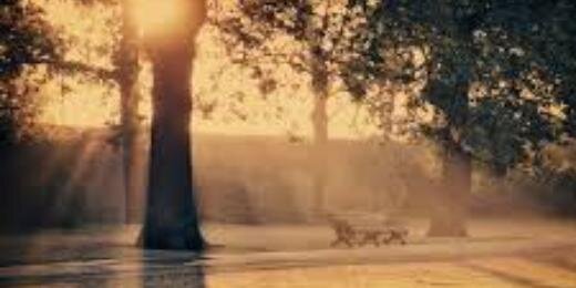 Williaans_'s profile banner image