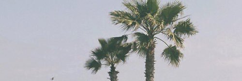 ArianaFriday's profile banner image