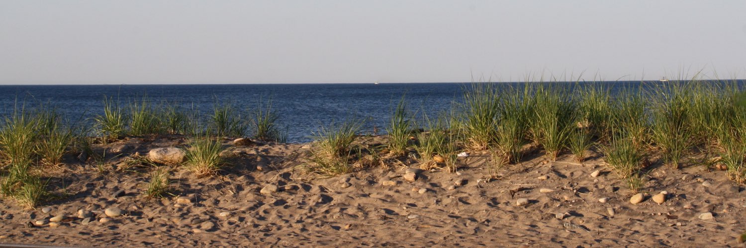 darcypsmith's profile banner image