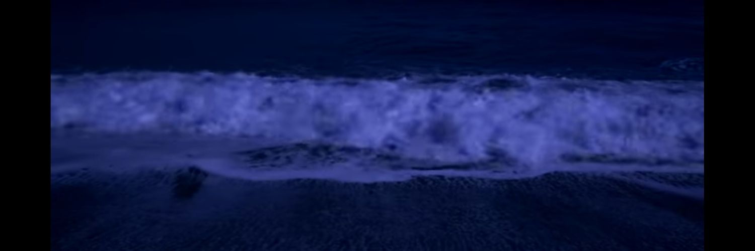 MsTraci4's profile banner image