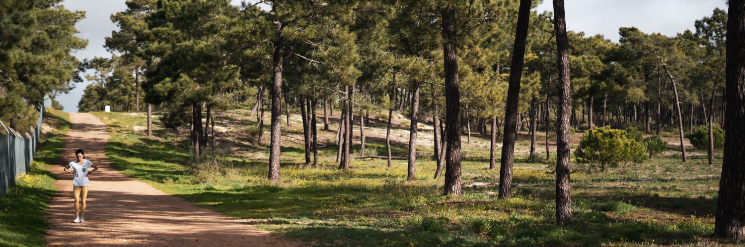 Sofia Ennaoui banner