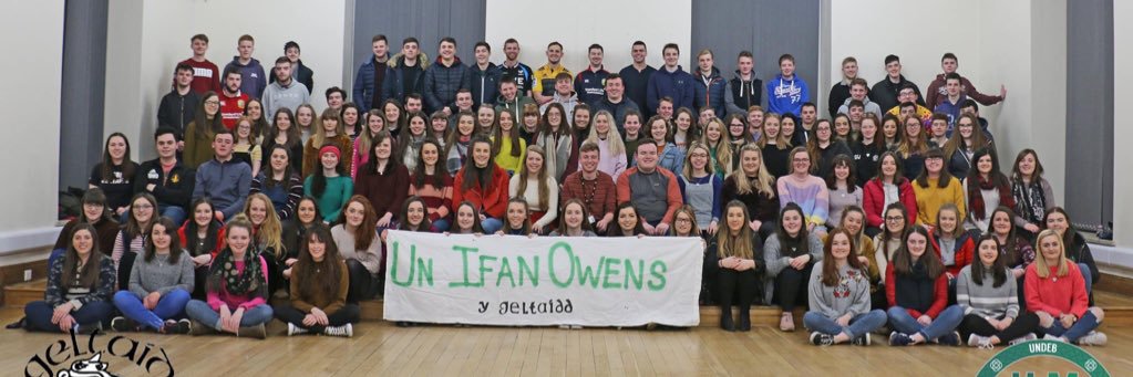 Y Geltaidd banner