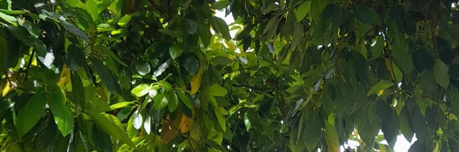 Nathari81's profile banner image