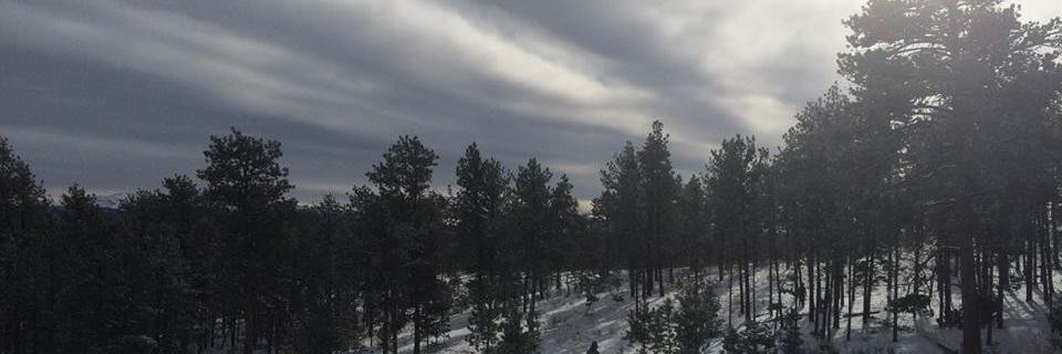 AmandaKesting's profile banner image