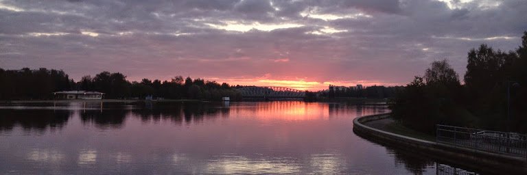 mark griffiths banner