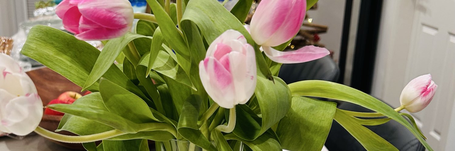 Amanda ~ www.evolvebg.co.uk banner