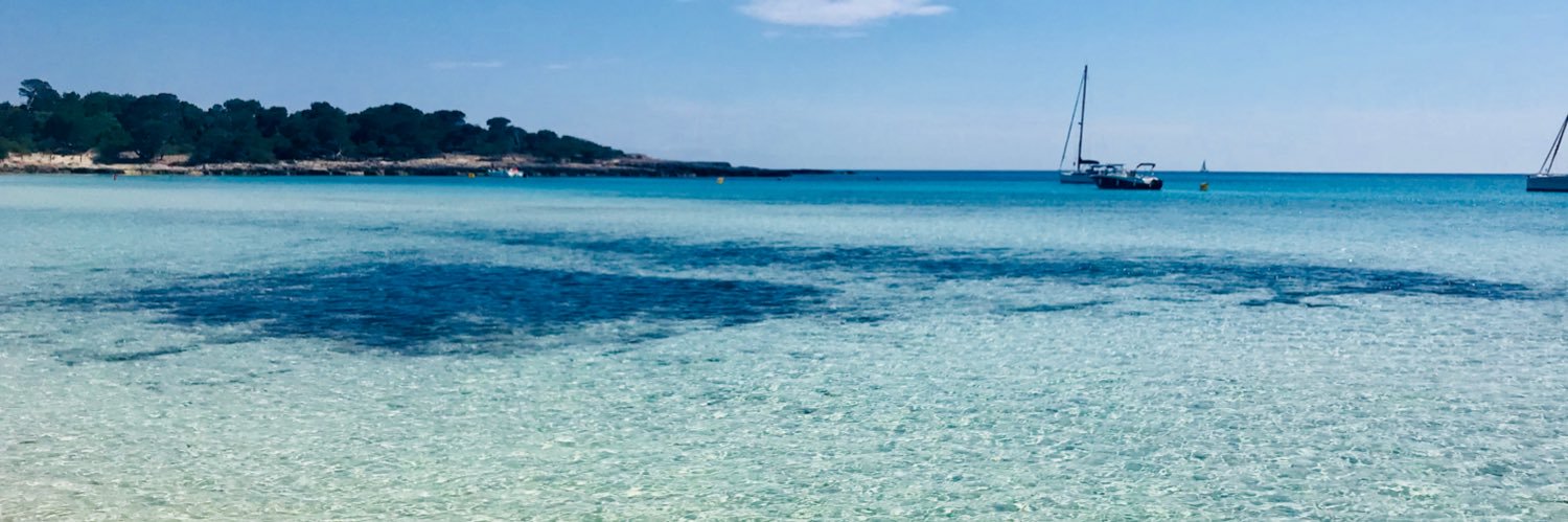 Salva Vendrell banner