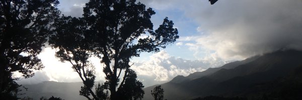 lorena_abad17 Profile Banner