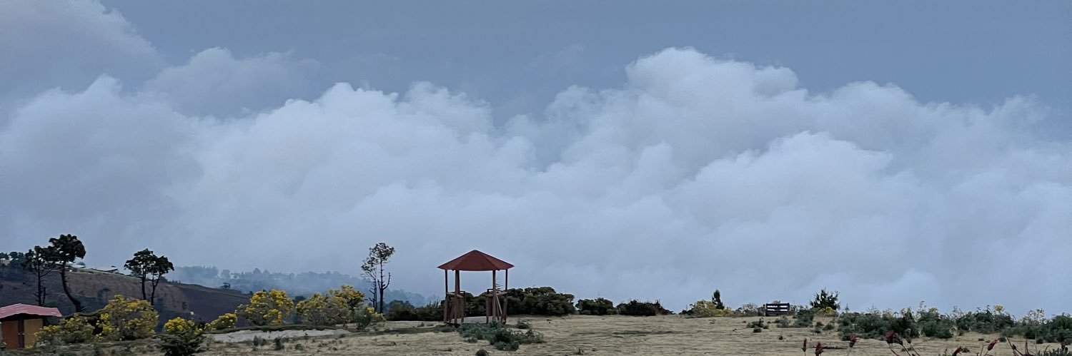 Quiquetchum's profile banner image
